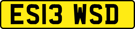 ES13WSD