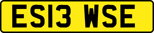 ES13WSE