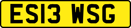 ES13WSG