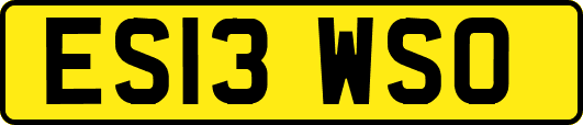 ES13WSO