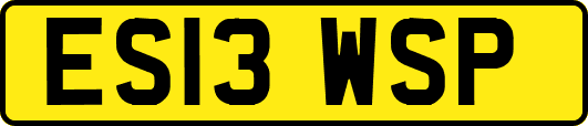 ES13WSP