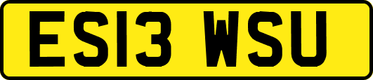 ES13WSU