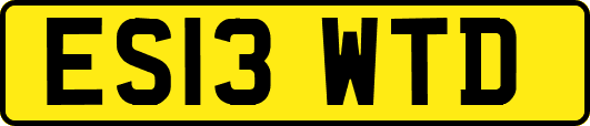 ES13WTD