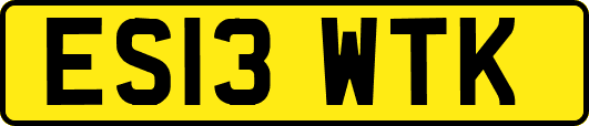 ES13WTK