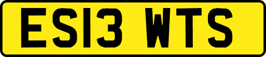 ES13WTS