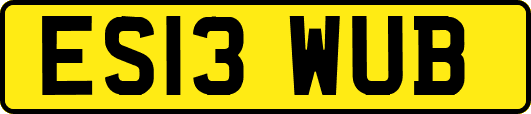ES13WUB