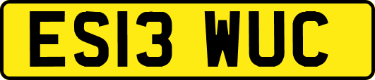 ES13WUC