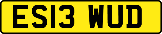 ES13WUD