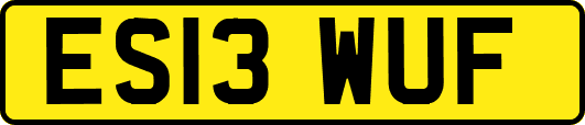 ES13WUF