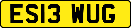 ES13WUG