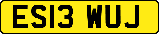 ES13WUJ