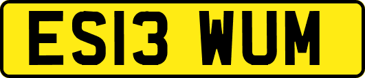 ES13WUM