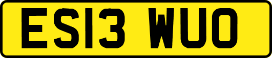 ES13WUO