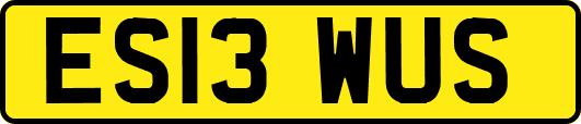 ES13WUS