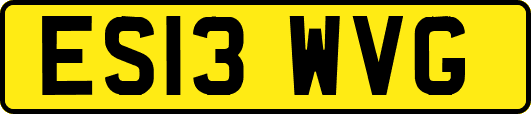ES13WVG