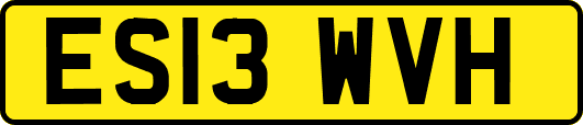 ES13WVH