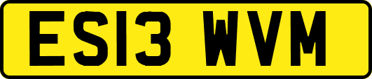 ES13WVM