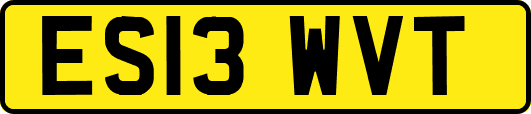 ES13WVT