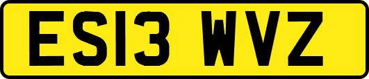 ES13WVZ