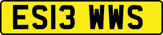 ES13WWS