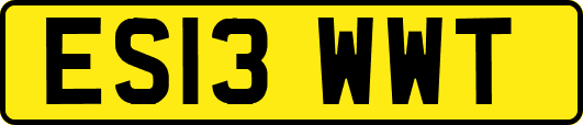 ES13WWT