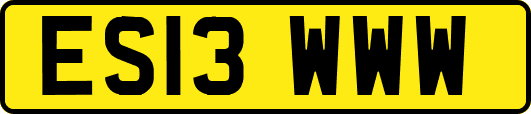ES13WWW