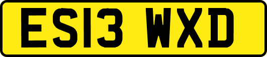 ES13WXD