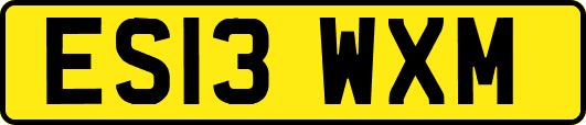ES13WXM