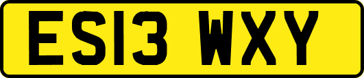 ES13WXY