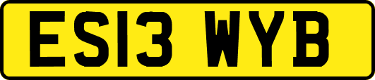ES13WYB