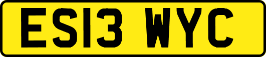 ES13WYC