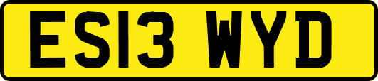 ES13WYD