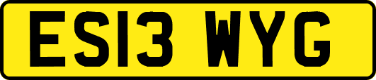 ES13WYG