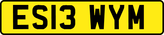 ES13WYM