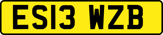 ES13WZB