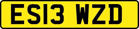 ES13WZD