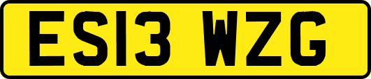ES13WZG