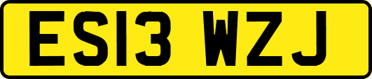 ES13WZJ