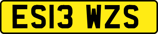 ES13WZS