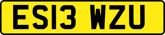 ES13WZU