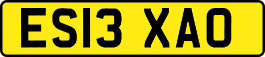 ES13XAO