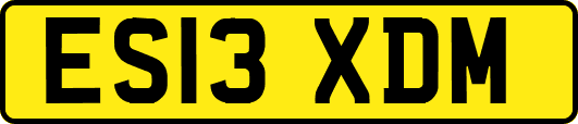 ES13XDM