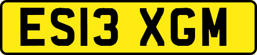 ES13XGM