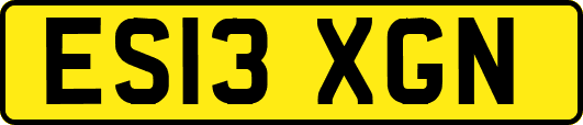 ES13XGN