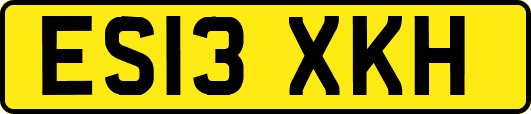 ES13XKH