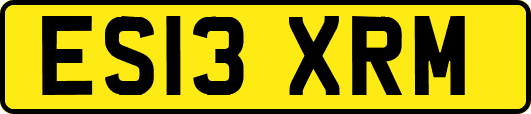 ES13XRM
