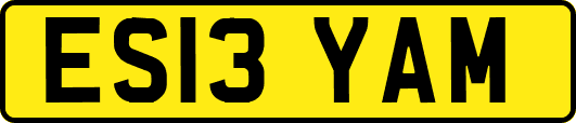 ES13YAM
