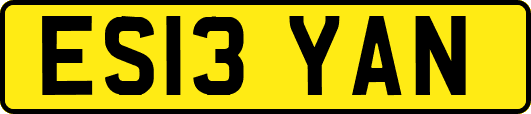 ES13YAN