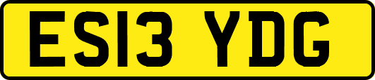 ES13YDG
