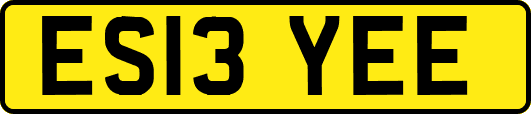 ES13YEE